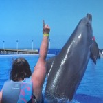 Zach the Dolphin