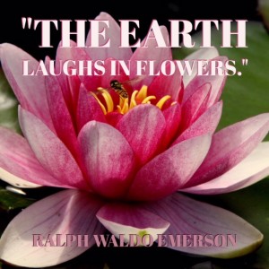 The earth laughs in flowers