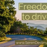 Freedom to Drive
