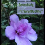 It's not Serendipity ... It's SerenDestiny 