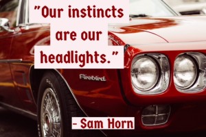 our instincts are our headlights
