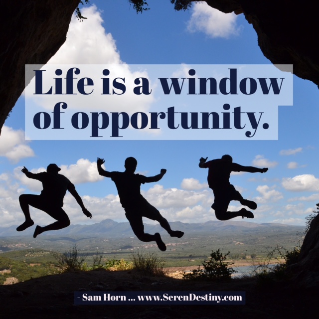 Life is a window of opportunity