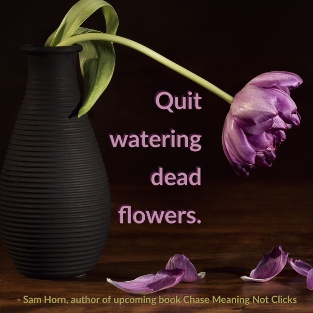 quit watering